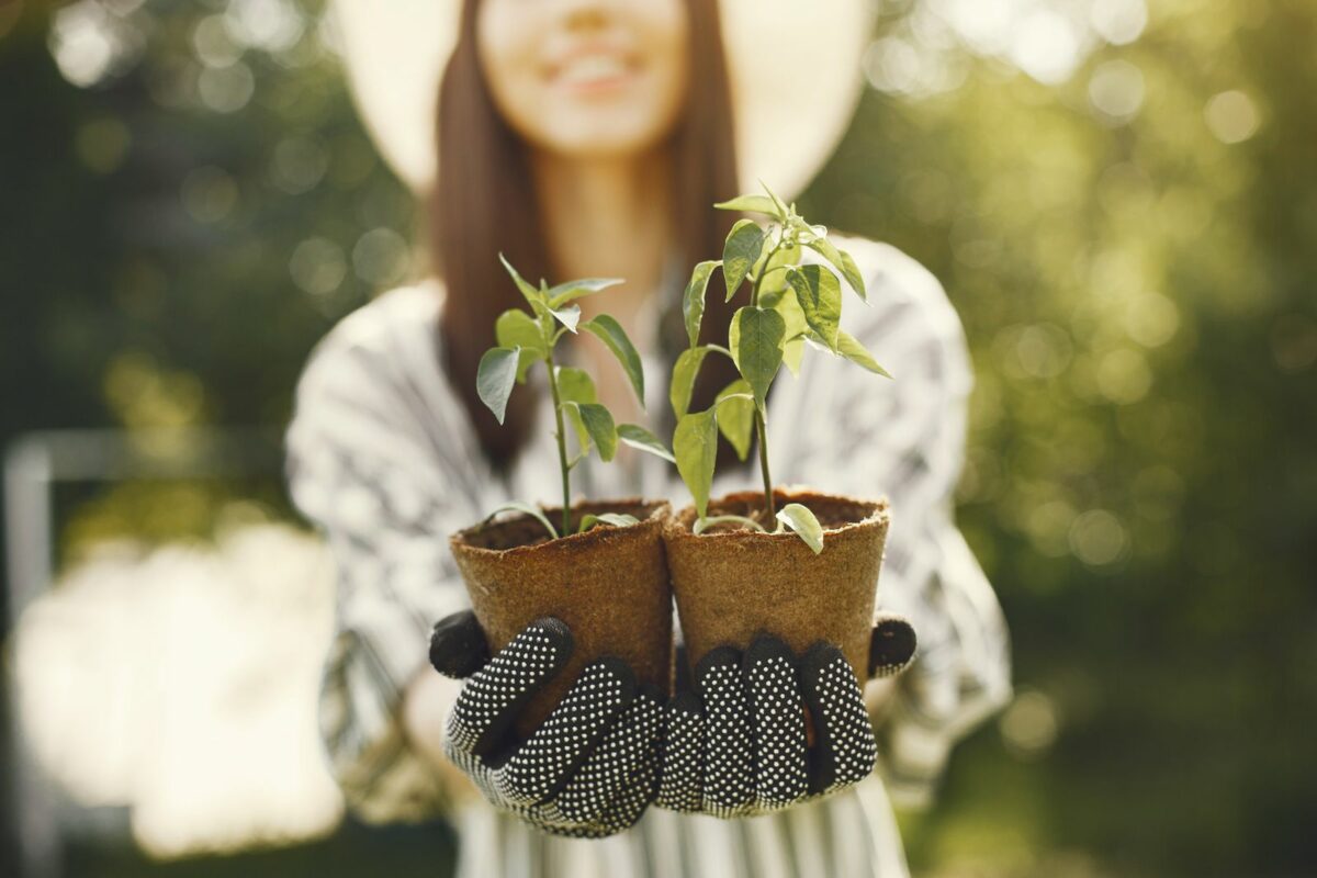 Mains tenant de jeunes plants : démarche éco-responsable