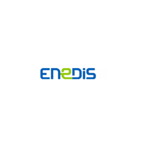 Logo Enedis